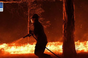 オーストラリア壊滅的山火事は人的災害？約200名が逮捕される。[海外の反応]
