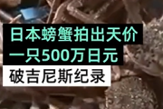【中国の反応】松葉ガニ１杯500万円で落札、いったい誰が食べるんだ！？