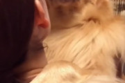 人間のようなハグをする犬が海外で話題に　こんなんしてくれたら日頃の疲れも取れるわ･･･