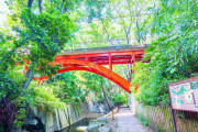 【海外の反応】「ここは本当に東京なのか！？」日本の等々力渓谷を見た外国人の反応。