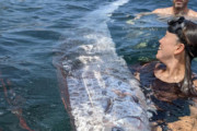 【不吉の前兆】南カリフォルニアで「終末の魚」発見、その2日後に地震が発生