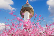 韓国人「韓国で歴代級に一番人気のあった日本人は誰でしたか？」→「やはりこの人‥（ﾌﾞﾙﾌﾞﾙ」　韓国の反応