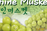 韓国人「韓国の主要果物品種の80%以上が日本の品種」韓国は毎年天文学的なロイヤリティを日本に支払って居る‥日本は超えられ無い壁です　韓国の反応