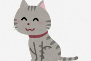 海外「私は本当にこういうのが必要です」「僕のところに来てほしい」日本の女の子と猫が話題
