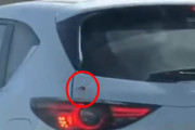後続車は見た！やばそうなクモが車の中に侵入していく瞬間を。