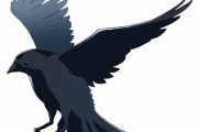 日本でカラスの駆除に使われてる鷹がカラスを狩る　“これが現実のポケモンだ！”　【海外の反応】