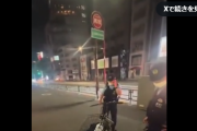 「人種差別だ！」在日黒人さん、警察の職質に不満爆発…「人種差別カード」を発動[海外の反応]