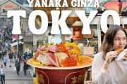 海外「今度はここも行かなきゃ！」谷中銀座に夢中！東京街歩きVlogに関心