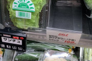 外国人「日本でレタス数枚や小さいカリフラワーが個別で売られてる…」