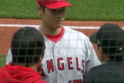 【海外の反応】MLB審判が賭博規則違反で懲戒処分