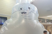 外国人「状況が意味不明すぎる写真を集めてみたｗｗｗｗｗ」