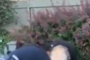 海外「警官の髪を掴んで逮捕に抵抗する女」