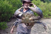 これはでかい！巨大ガニ「ノコギリガザミ」を泥の中から捕獲！（オーストラリア）