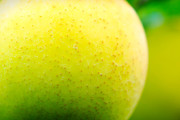 【海外】リンゴの小さな点々の正体とは？実は果物や野菜の健康を示す大事なサイン！