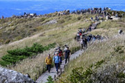 無等山で30代男性が5日ぶり救助、韓国では「なぜ携帯も持たずに」と遭難への厳しい声