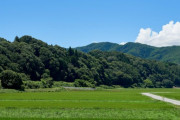 韓国人「日本も自然環境は悪くないんじゃないか？確かに韓国の田舎とは何か違うよ」→「ものすごいよ」「どこに行ってもきれいで伝統も生きていて日本は観光でオールラウンドな感じの国だ」