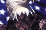 【韓国の反応】「やっぱりアメリカさんが世界一！」韓国人のアメリカへの尊敬の念
