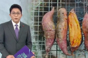 韓国人「世界中でサツマイモを食べるのは韓国だけですか？何故サツマイモはKフードと呼ばれているのですか？」→「ガチで驚愕した…（ﾌﾞﾙﾌﾞﾙ」