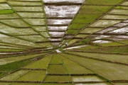 外国人「うっかり芸術的になってしまった写真を見せていくｗｗｗｗ」