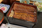 「確かにウナギは美味しかった」4chan民が素晴らしい日本食を語るスレ
