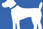 「うちの犬はヘアカットをするたびに『何歳？』と聞かれる…」年齢に驚く写真