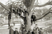 外国人「100年前の日常を記録した写真が魅力的だったので見せていく！」