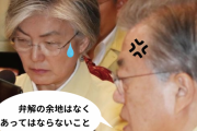 文在寅、外交部長官の目の前で「弁解の余地はない」韓米首脳通話流出について謝罪…高まる康京和責任論＝韓国の反応