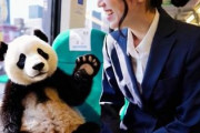 中国人「日本の鉄道のややこしさについて語り合おう」　中国人「極めて高効率なだけ」「気持ちよすぎてぶっ倒れる」
