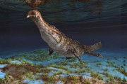 【海外】古代の恐るべき肉食恐竜10選—今日の肉食獣が可愛く見える理由とは？
