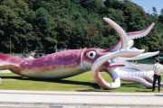【韓国の反応】「コロナ支援金2億ウォン浪費」批判を受けた日本ダイオウイカの大逆転。韓国の反応「韓国とやることが同じ。/日本は2億台、韓国は10億台。」