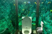 外国人「日本にはアクアリウムトイレが存在するらしい…」