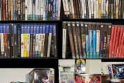 外国人「俺と同じくらいゲームのコレクションしてる奴いる？」