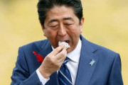 韓国紙「日本政府、"福島汚染土" で食用作物の栽培試験を密かに推進」