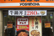 韓国人「韓国市場へ進出したが、撤退した日本のブランドを見てみよう」