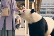 中国人「日本の鉄道システムについての素朴な疑問」　中国人「自覚の問題」「車掌は端末ですべてお見通し」
