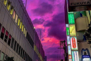 海外「日本で空が美しい紫に染まる時、それは不吉の予兆」投稿された一枚の空の写真が話題に