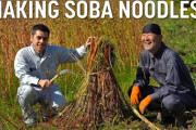 「僕もこのそば農家に移住したい！」日本のそば作りを紹介 海外の反応