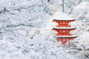 海外「美しすぎる……」雪に覆われた日本のの名所旧跡の写真を見た海外の反応