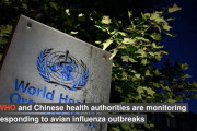 【海外の反応】中国での鳥インフルエンザによる死亡の報告を受けてWHOが対応　海外の反応「第2ラウンドが始まる、新しい世界保健機関が必要」