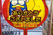 韓国人「新大久保のドン・キホーテの品揃えがヤバい…ﾌﾞﾙﾌﾞﾙ」