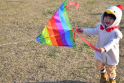 【衝撃】台湾で3歳少女が巨大な凧で空中高く持ち上げられてしまう-人々の必死の救出劇 海外の反応