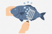 海外「ええ、コレ食べるの？」「日本の食品衛生法はスゴいんだぞ！」新鮮なお魚が食べれる飲食店に外国人から様々な意見