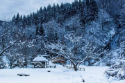 心が和む♪日本東北地方の冬を楽しむ！「無視しなかった初めての広告♪」「美しい！日本に行くのが楽しみだ＾＾」海外の反応