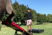 すげえ！人間が台に立っているシーソーをゾウが思いっきり踏んづけた結果ｗｗｗ海外の反応