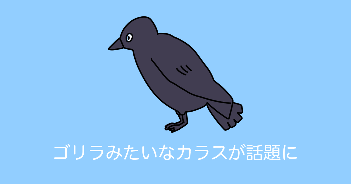 日本のカラスが「筋肉ムキムキのゴリラみたいだ」と世界中で話題に！【台湾人の反応】 | 海外の反応アンテナ