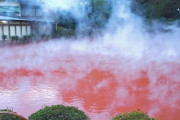 海外「日本人ってタトゥー嫌いなのかな？？ 温泉入れないんでしょ？」伝統的な日本のタトゥーはアートとして最高だけどなぁ・・・
