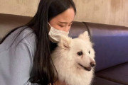 「旭日旗は我慢できません」…オンライン販売中断させた女子高生に話を聞いてみた＝韓国の反応
