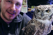 猫、ウサギ、フクロウと触れ合える日本のアニマルカフェへ行ってみた！