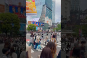 外国人「その通り…」日本と韓国での暮らしの体験談に反響