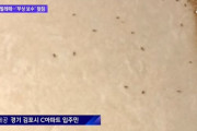 【悲報】韓国人「韓国の新築マンションで、カビや虫がウヨウヨ‥」住民の訴えにも施工会社が無視！その理由がコチラ‥　韓国の反応